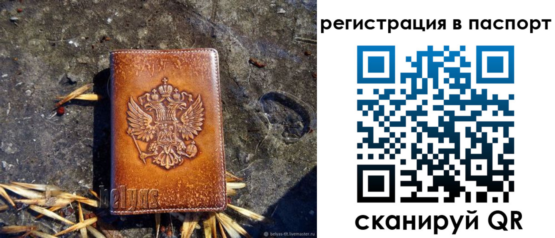 временная регистрация гарантия в Заинске